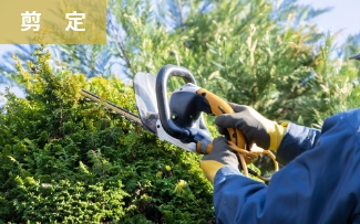 剪定　庭木お手入れ"