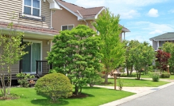 シンボルツリーイメージ