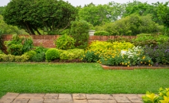 グランドカバーイメージ