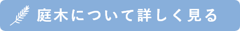 庭木についてて詳しく見る