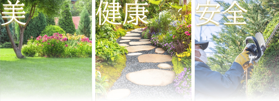 庭木の美と健康、倒木などの事故防止