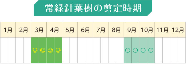 常緑針葉樹の剪定時期の年間スケジュール表