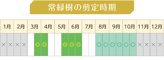 常緑広葉樹の剪定時期の年間スケジュール表