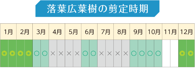 落葉広葉樹の剪定時期の年間スケジュール表