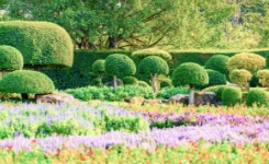 オープン型の庭