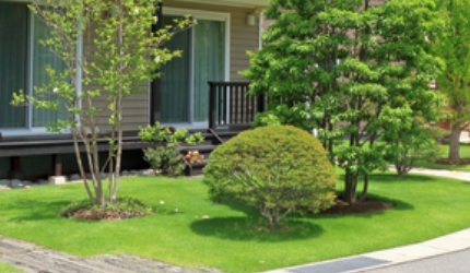 庭の広さとバランスイメージ